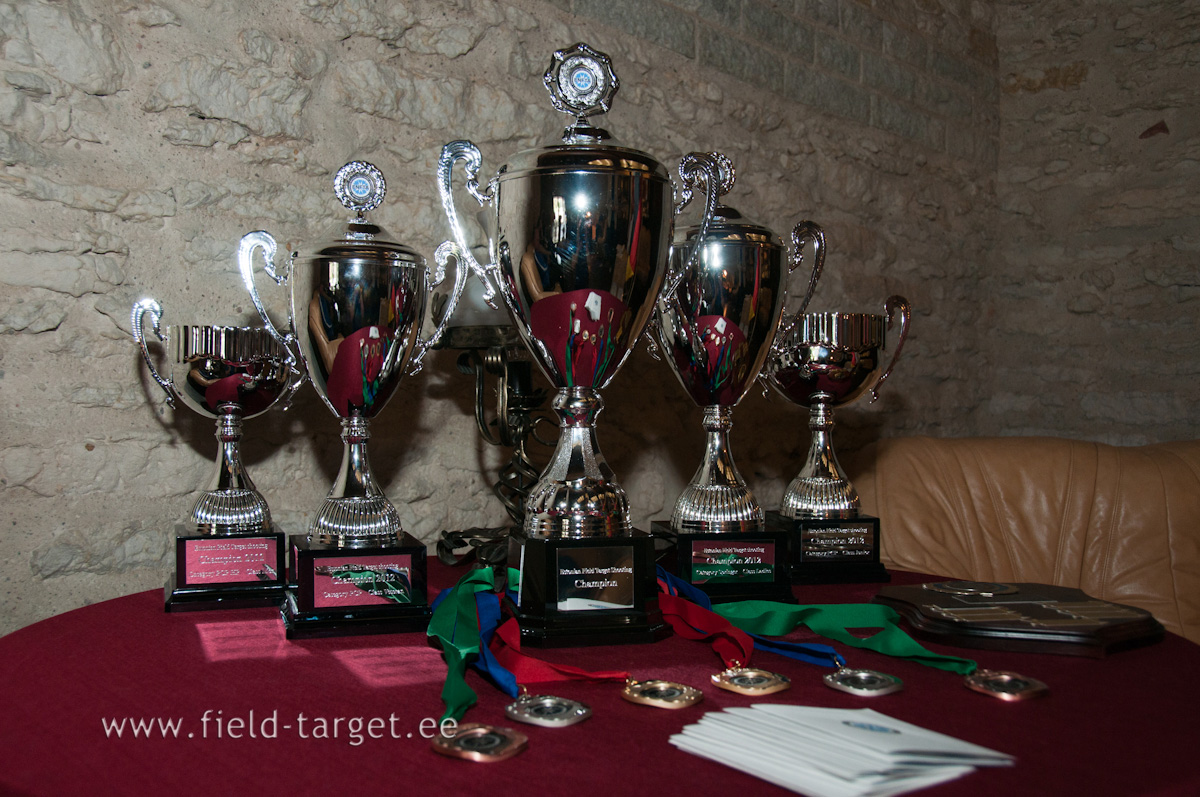 ENFTA OC stage 7 Finale